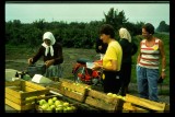 foto0298a